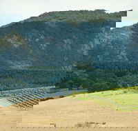 Langi Ghiran State Park - C Tourism