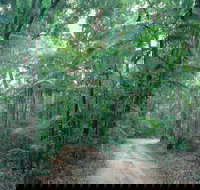 Lawn Hill - C Tourism