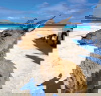 Lucky Bay - C Tourism