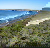Marion Bay - C Tourism