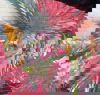 Mokoan Rest Stop Northbound - C Tourism