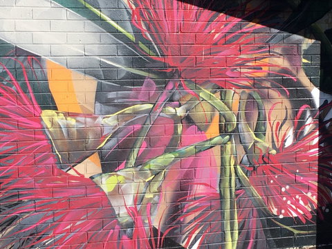 Mokoan Rest Stop Northbound - C Tourism 0