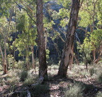 Mount Gray walking track - C Tourism