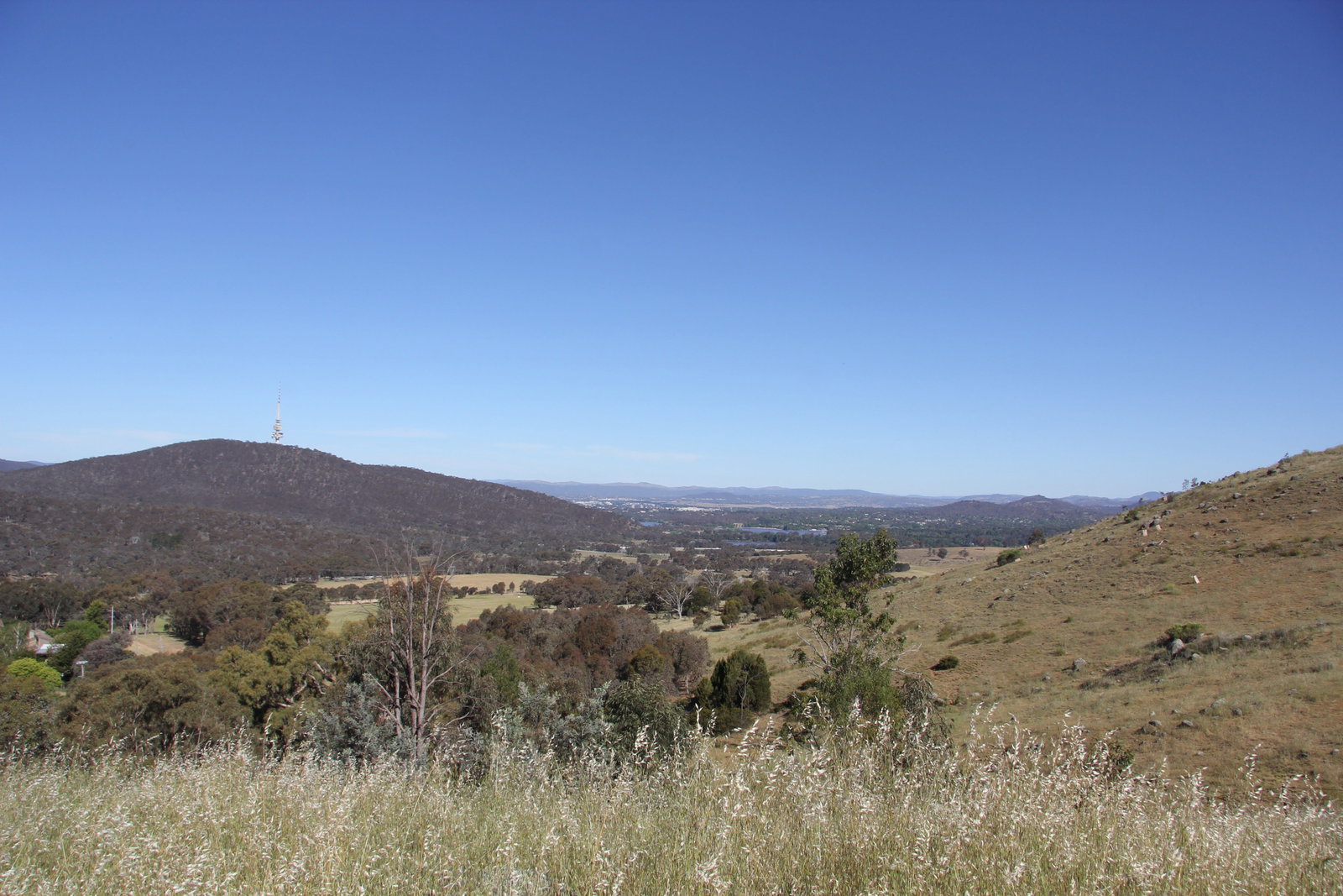 Cook ACT C Tourism