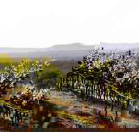 Mount View - C Tourism