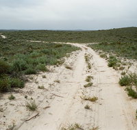 Ngarkat Conservation Park - C Tourism