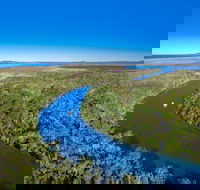 Noosa Everglades - C Tourism