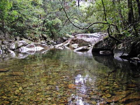 Orara River - C Tourism 2