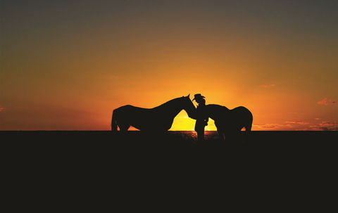 Outback Pony Rides Farm Experience - C Tourism 0