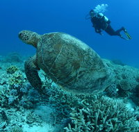 Pams Point - C Tourism
