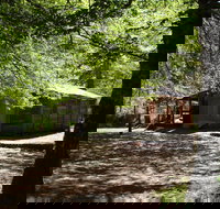 Pickering's Hut and Camping Area - C Tourism