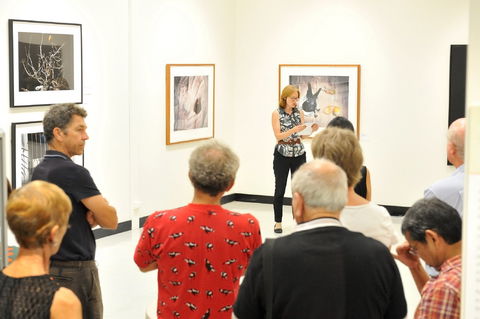Pine Rivers Art Gallery - C Tourism 1