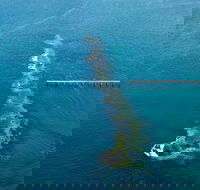 Port Noarlunga Reef Sanctuary Zone - Encounter Marine Park - C Tourism