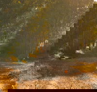 Raysource Road - C Tourism