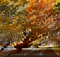 Richmond - C Tourism
