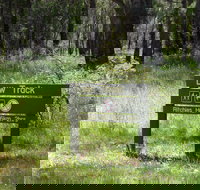 Ritchie's Hut - C Tourism