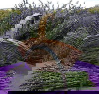 Rustique Lavender Farm - C Tourism