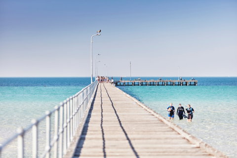 Rye Bay Trial - C Tourism 1