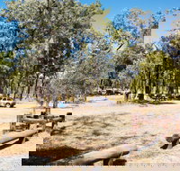 Salvator Rosa Carnarvon National Park - C Tourism