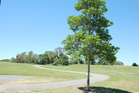 Samford Valley Rail Trail - C Tourism 2