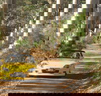 Scotsdale Tourist Drive - C Tourism