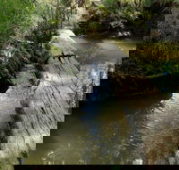 Second Ponds Creek Walk - C Tourism