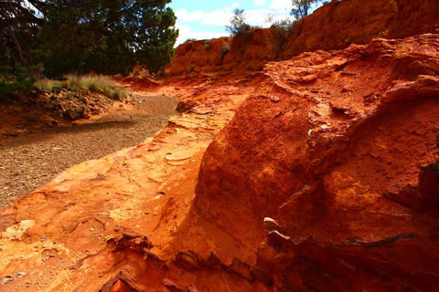 Skytrek - C Tourism 1