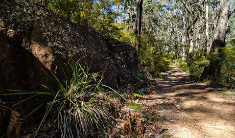 Starlights Trail - C Tourism 0