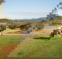 Tamworth and Kootingal Horse Riding Adventures - C Tourism