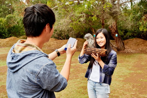 Taranna - C Tourism 0