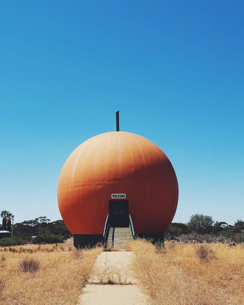 The Big Orange - C Tourism 0