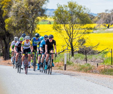 The West Side Story - Avon River Cycle Trail - C Tourism 1