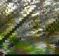 Turon National Park - C Tourism