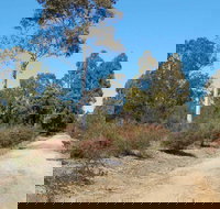 Werakata National Park - C Tourism