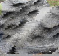 Windara Reef - C Tourism