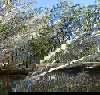 Wongi State Forest - C Tourism