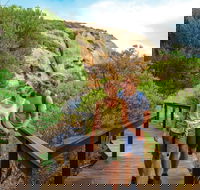 Woody Island Nature Reserve - C Tourism