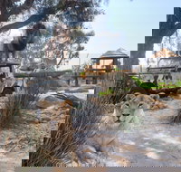 Zambi Wildlife Retreat - C Tourism