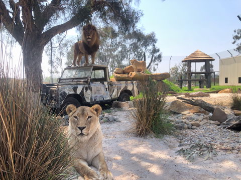 Zambi Wildlife Retreat - C Tourism 0
