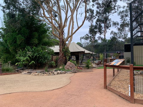 Zambi Wildlife Retreat - C Tourism 2