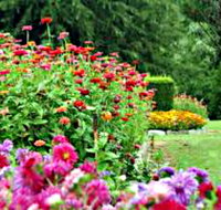 Alma Park - C Tourism