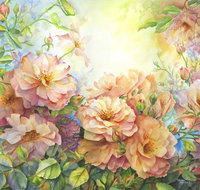 Barossa Chateau Artist in Residence - C Tourism