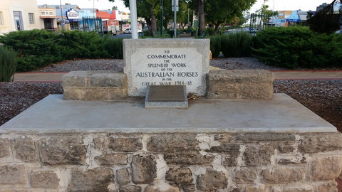 Barmera Horse Trough - C Tourism 0