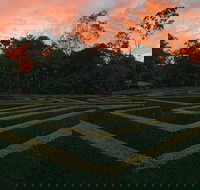 Bellingham Maze - C Tourism