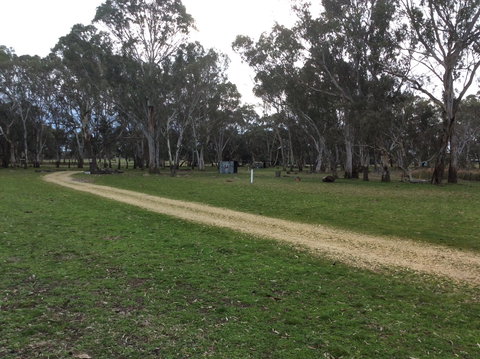 Black Cockatoo Bush Camp - C Tourism 2