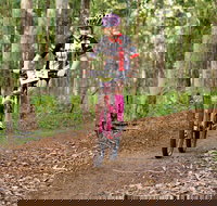 Bom Bom State Forest Mountain Bike Trails - C Tourism