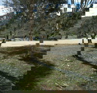 Bombala Platypus Reserve - C Tourism