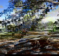 Bowen Mountain Park - C Tourism