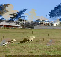 Calmsley Hill City Farm - C Tourism