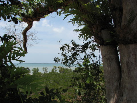 Channel Point Coastal Reserve - C Tourism 0